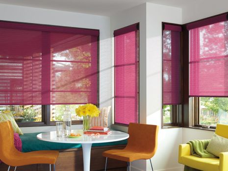 Desinger Roller Shade