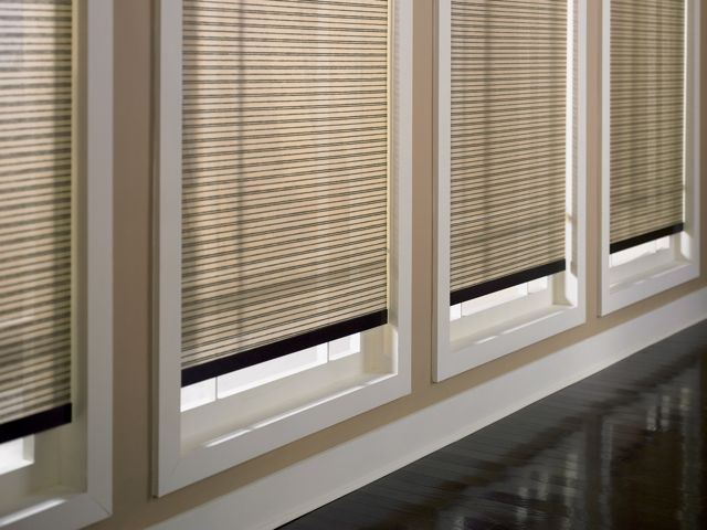 Desinger Roller Shade